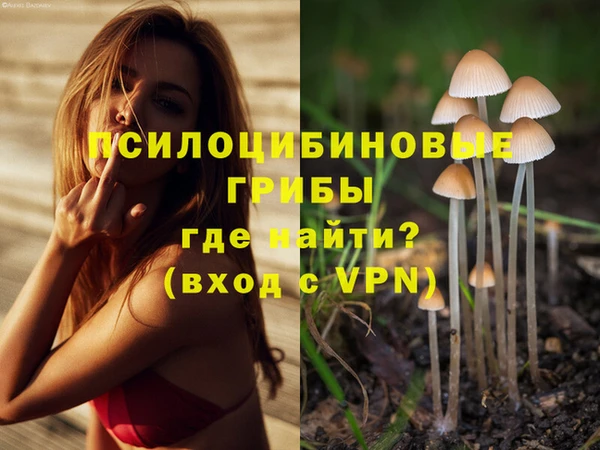 jwh Вяземский