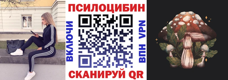 мега как зайти Новочебоксарск Псилоцибиновые грибы MAGIC MUSHROOMS